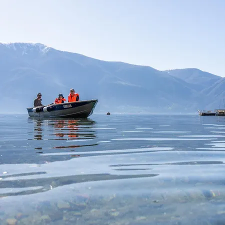 Casa Moscia Hostel *