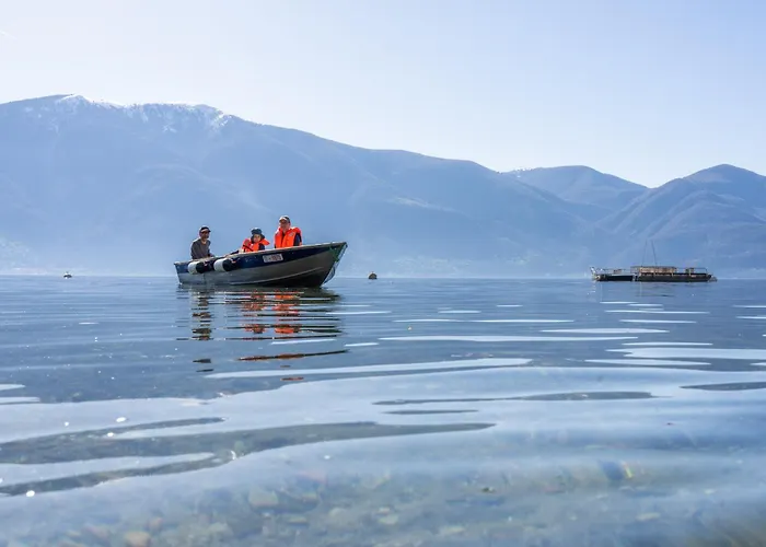 Casa Moscia Vandrarhem *